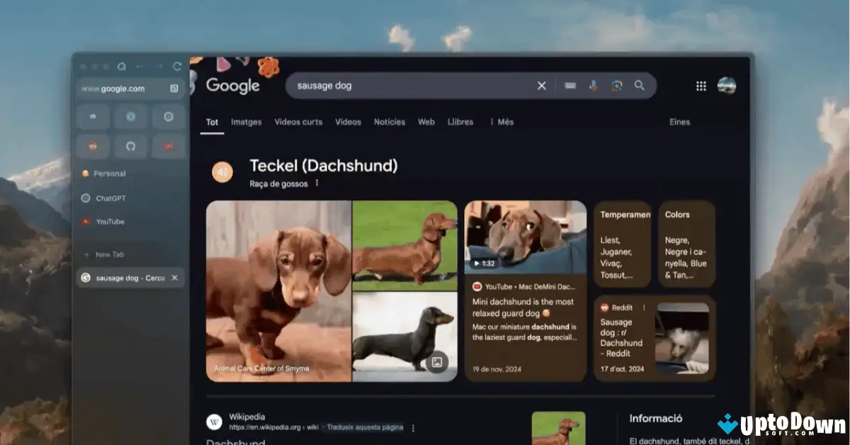 Zen Browser for Mac Download (2026 Latest) screenshot 3